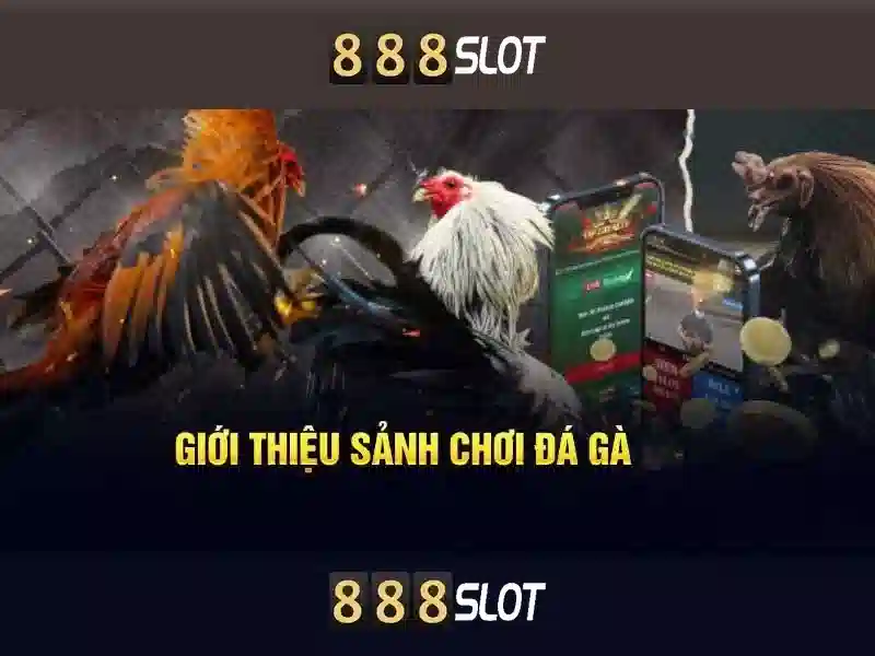 Trải nghiệm người dùng và thanh toán tại 888slot