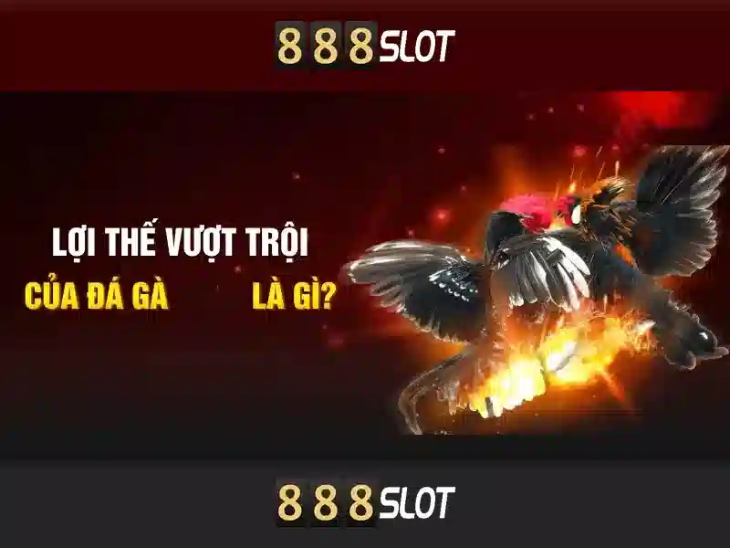Giao diện nhà cái hoàn hảo