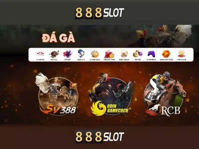 Trải nghiệm người dùng