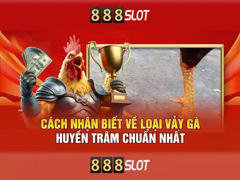An toàn và đáng tin cậy với chứng nhận và hỗ trợ khách hàng 24/7