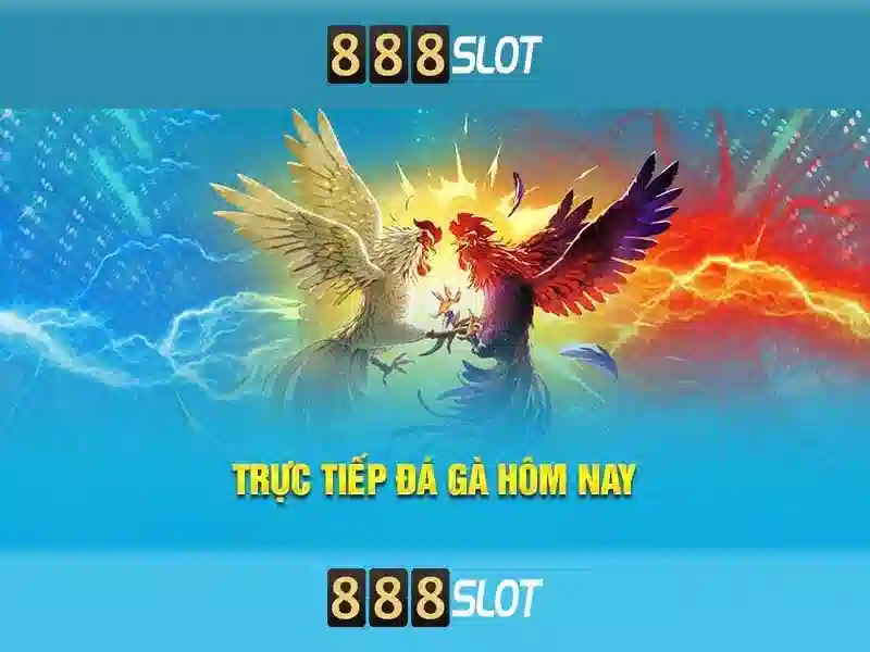 Giao diện nhà cái hoàn hảo