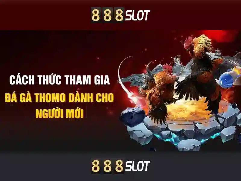 An toàn, thanh toán nhanh chóng và công cụ bảo mật
