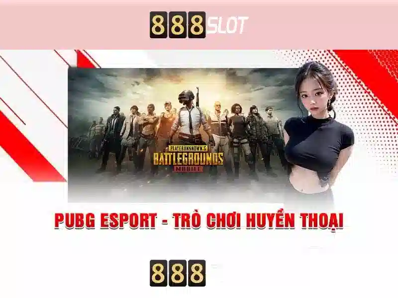 Thanh toán an toàn và hỗ trợ khách hàng