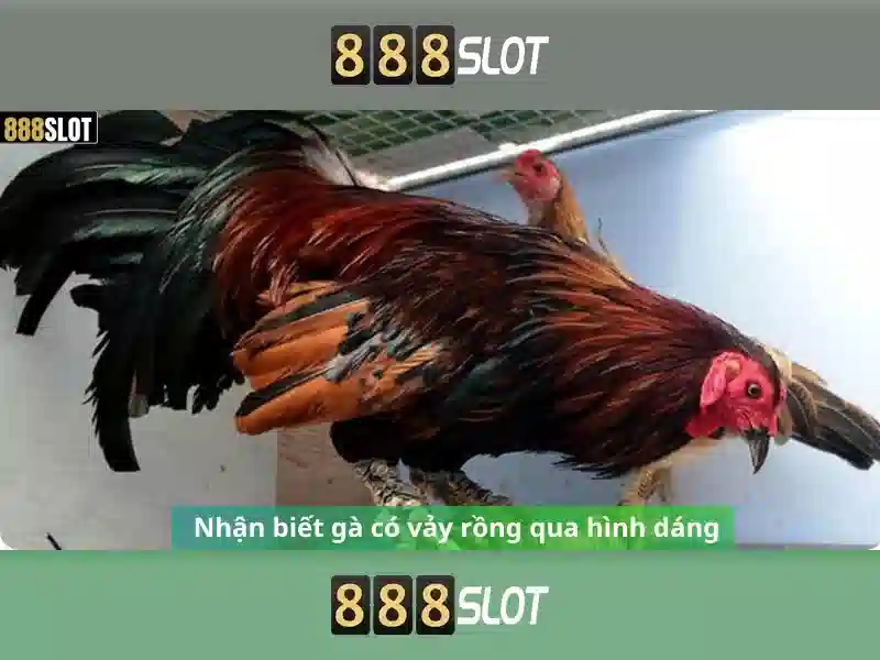 Giao diện nhà cái hoàn hảo