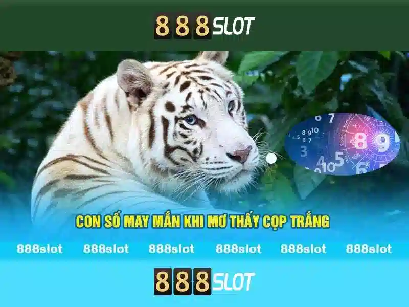 Tại sao chọn 888slot