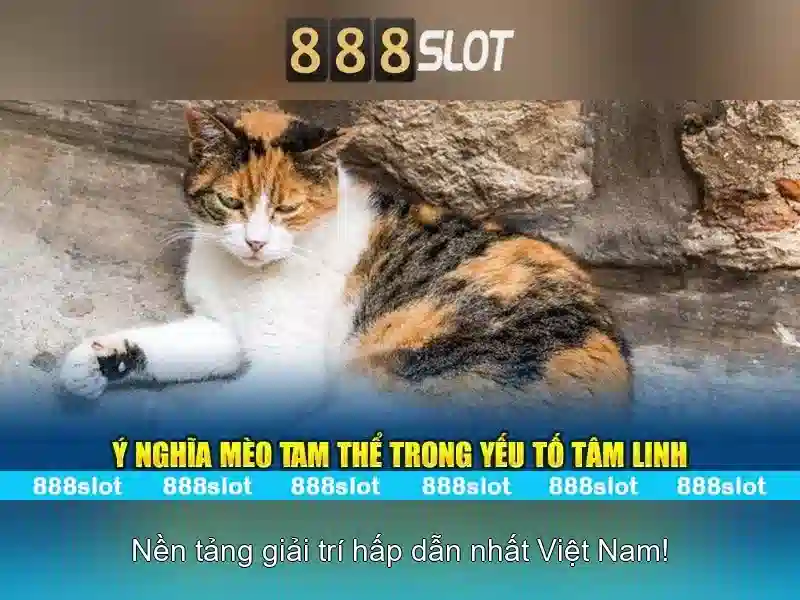 Giao diện nhà cái hoàn hảo