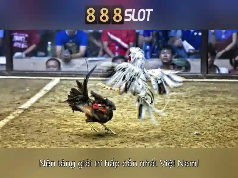 Giao diện nhà cái hoàn hảo