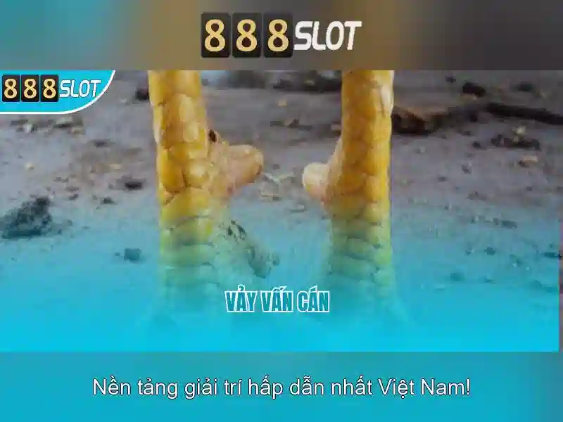 Giao diện nhà cái hoàn hảo