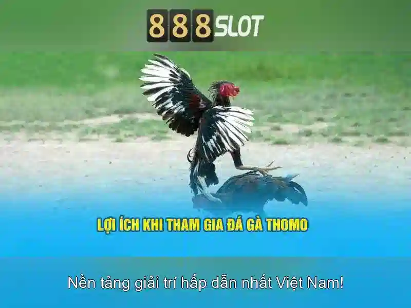 888slot – Nền tảng giải trí trực tuyến đáng tin cậy và đầy cảm hứng