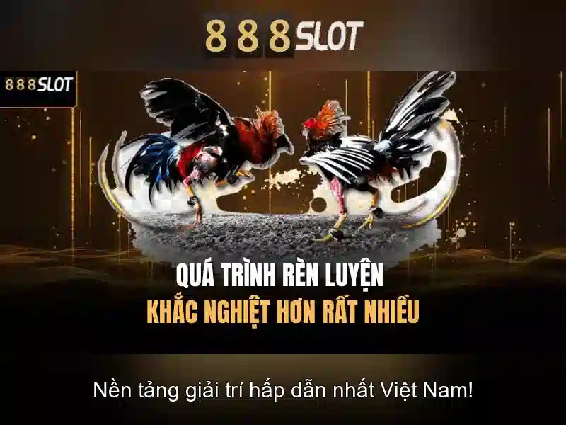 Hỗ trợ khách hàng và trải nghiệm di động