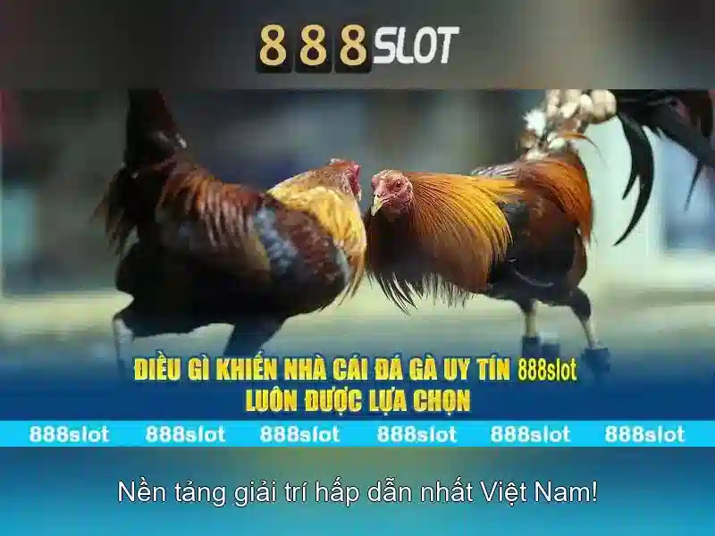 Tính năng nổi bật