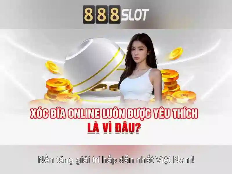 Trải nghiệm người dùng và hỗ trợ