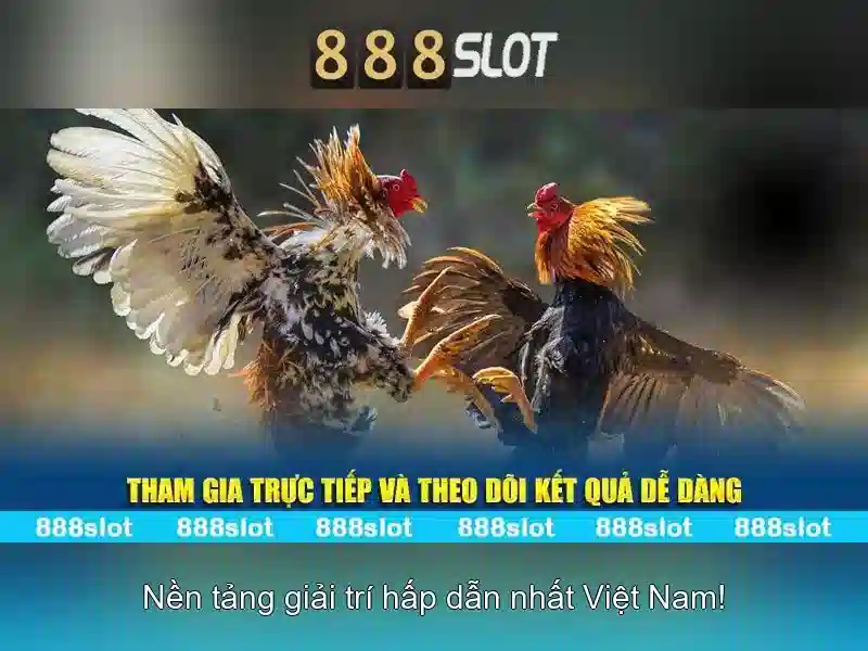 Giao diện nhà cái hoàn hảo