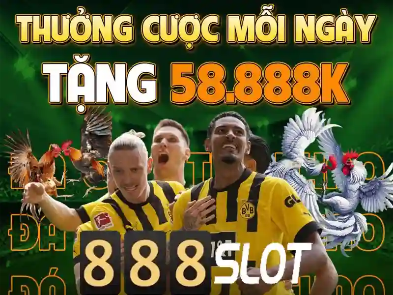Khuyến mãi và chương trình thưởng